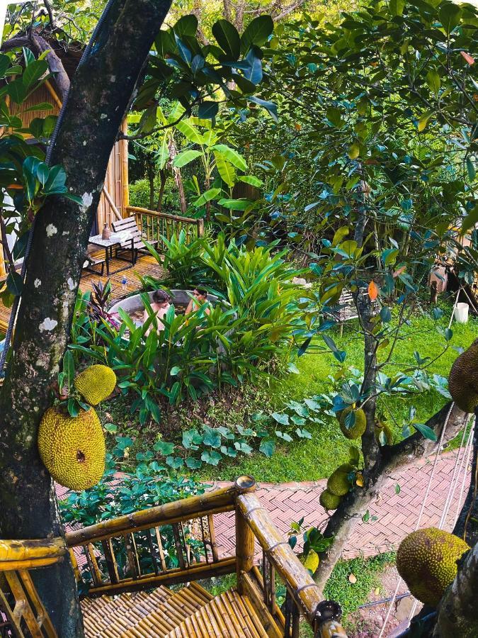 Trang An Lamia Bungalow ニンビン エクステリア 写真